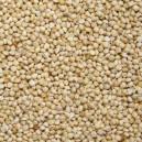 millet blanc