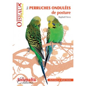 Les Perruches Ondulées de Posture par Raphael Terra