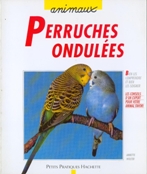 Perruches ondules