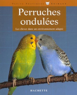 Perruches Ondules