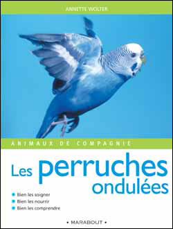 Les Perruches Ondules