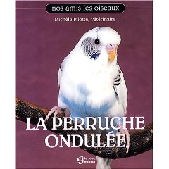 La Perruche ondule 