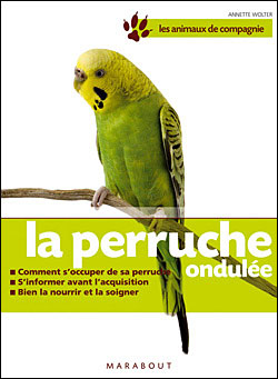 La Perruche ondule 