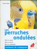 Les Perruches Ondules