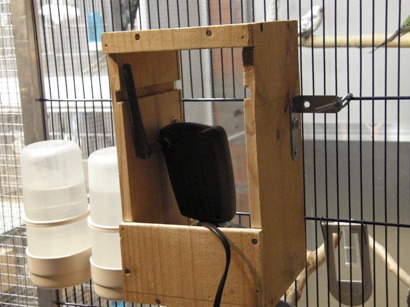 webcam Volière