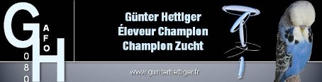 Gunter HETTIGER ( Éleveur )