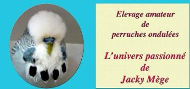 Jacky MEGE  ( leveur )